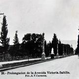 PROLONGACION DE LA AVE. VICTORIA