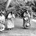 Cargadores de leña, en el Desierto de los Leones