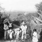 Vecinos de Santa Rosa, Delegación Cuajimalpa, D.F.