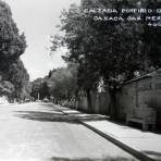 Avenida porfirio Diaz