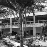 Hotel y jardín