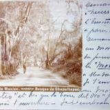 El Bosque de Chapultepec ( Fechada en Agosto de 1902 )