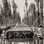 Lago de Xochimilco