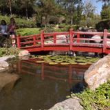 Puente del Jardín Japones. Noviembre/2016