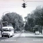 Avenida Vallarta.