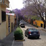 Calles del Centro Histórico de Tlaxcala en Primavera. Abril/2017