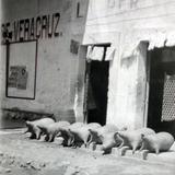 Mercado de Pulque Alrededores de San Juan Teotihuacan Edo.de Mexico en 1928.