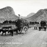 Cañón de Santa Catarina