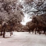 Entrada al Bosque de Chapultepec.