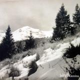 Camino al Volcan Ixtaccihuatl Por el fotografo Hugo Brehme.