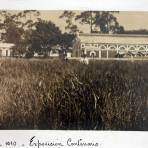 Exposicion de Establos conmemorando el Primer Centenario de la Independencia de Mexico Sep-1910.