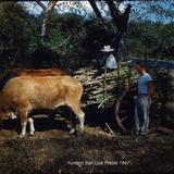 Tipos Mexicanos Yuntero San Luis Potosi (c. 1953).