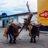 Mitla, Oaxaca 1956