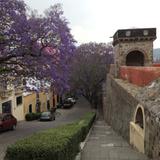 La calle del vecino en primavera, a la derecha el ex-convento franciscano del siglo XVI. Abril/2018