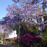 Parque paseo de las Artesanías. Abril/2018