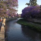 Río Zahuapan a su paso por la capital de Tlaxcala. Abril/2018