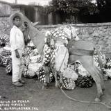 Tipos Mexicanos cargador de tequila en penca.