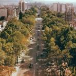 Paseo de la Reforma, hacia el Castillo de Chapultepec (circa 1958)