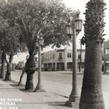 Avenida Francisco I. Madero