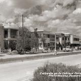 Calzada de la Colonia Jardín