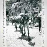 Escena callejera de Taxco, Guerrero ( 1940 ).