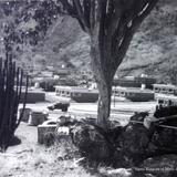 Santa Rosa en el Mpio de Amatitan Jalisco en 1962.