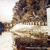 Jardin de La Borda por el Fotógrafo Hugo Brehme.