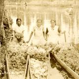 Vendedoras de Flores en Xochimilco