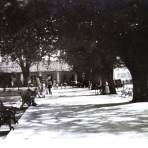 Jardin Publico.