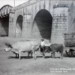 Tipicos detalles del Puente.