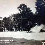 Caballos Incinerados en La Alameda por la Ave, de Los Hombres Ilustres durante La Decena Trágica Febrero de (1913)  Ciudad de México