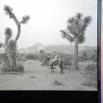 Panorama de La Sierra Madre al Noreste de Saltillo. ( Fechada en 1928 ).