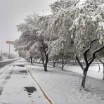 Boulevard Gómez Morín, Cd Delicias Chihuahua bajo la nieve.