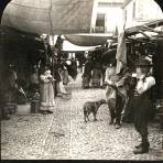 Mercado de el Volador 1908.