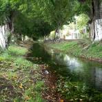 Canal de Riego