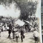 Un dia de revista en Chapultepec por el Fotógrafo Abel Briquet..