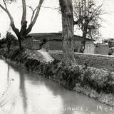 La Acequia Madre