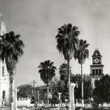 Plaza Principal, Catedral y Palacio Municipal