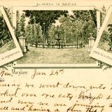 Postal antigua de fines del Siglo XIX (Chapultepec, Alameda y Árbol de la Noche Triste)