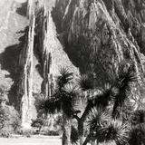 Cañones del Diablo, en La Huasteca