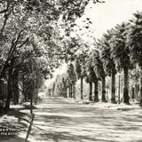 Avenida de la Libertad