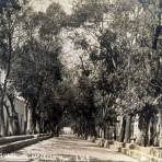 Calzada de  Guadalupe.