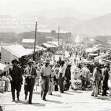 Vendimias del Puente