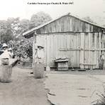 Tipos Mexicanos descascarando el cafe por el Fotógrafo Charles B. Waite 1907.