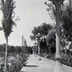 El parque de la ciudad.