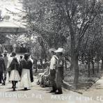 Parque de los Cedros.