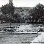 Hotel balneario La Comajilla León, Guanajuato