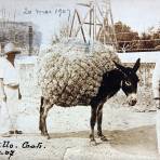 Tipos Mexicanos Vendedores de paja. ( Circulada el 20 de Mayo de 1907 ).